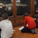Attività didattica in sala di anatomia comparata